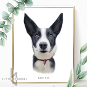 Pet Portrait Digitally Drawn Artwork